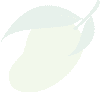 Guava mini